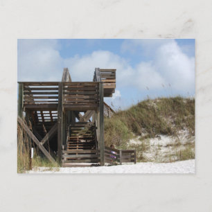 Cape San Blas Florida Dunewalk from beach side Postcard