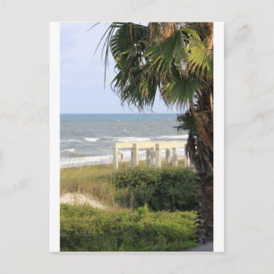 Cape San Blas Ocean Sea Mermaid Salt Postcard