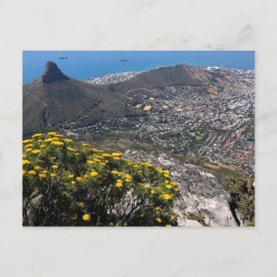 cape town city postcard