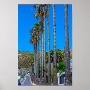 Cape Town Fresnaye Cityscape South Africa Poster