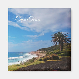 Cape Town Palm Beach Landscape Magnet