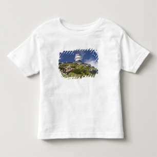 Cape Town, South Africa. A lighthouse on the Toddler T-shirt