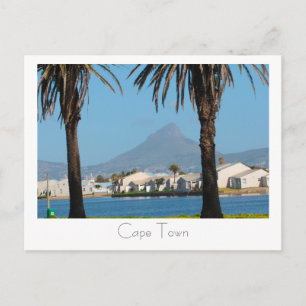 Cape Town South Africa Lion's Head Palm Trees Postcard