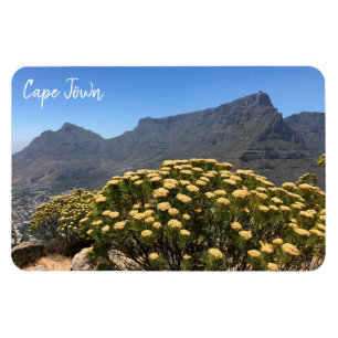 cape town table magnet