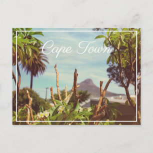 Cape Town Table Mountain Lion's Head Postcard