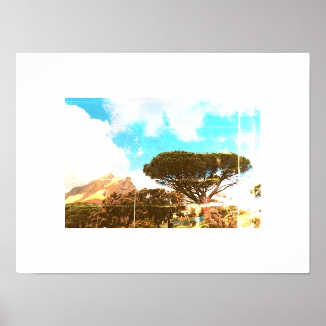 Cape Town Table Mountain Pine Tree View Poster (Front)