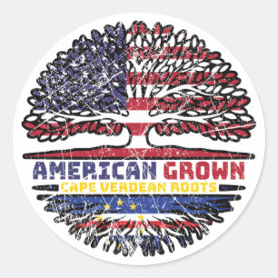 Cape Verde US American USA United States Tree Classic Round Sticker