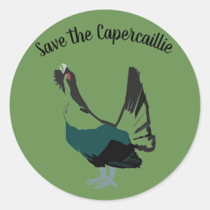 Capercaillie bird  Art  Round Sticker, Glossy Classic Round Sticker