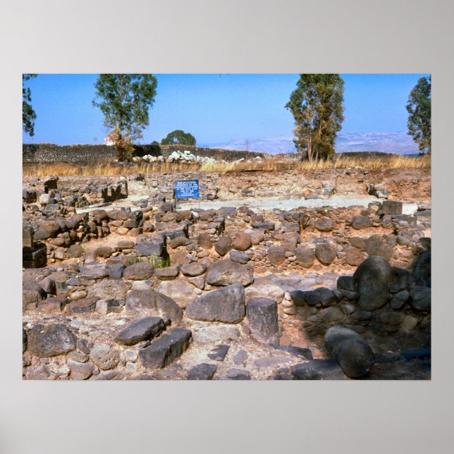 Capernaum, Galilee, archeological site Poster (Front)