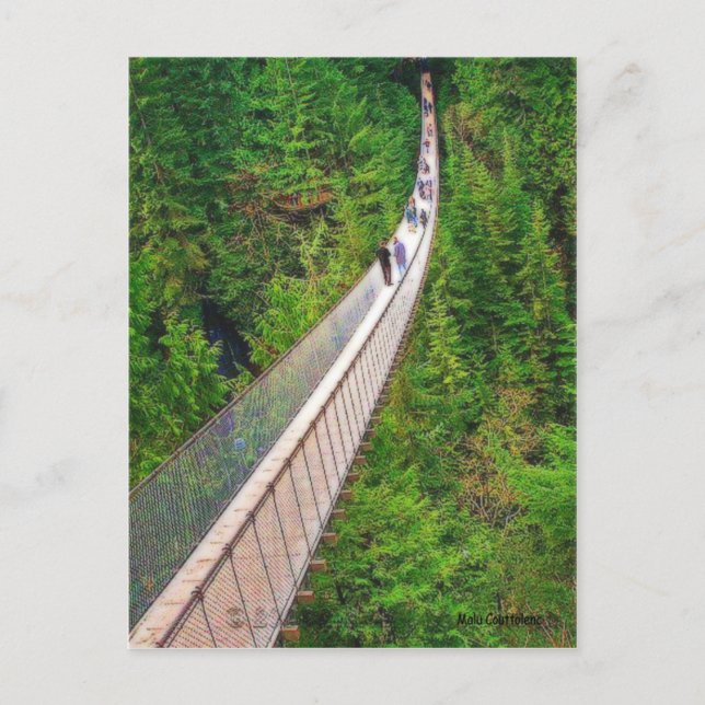 Capilano Suspension Bridge Postcard (Front)