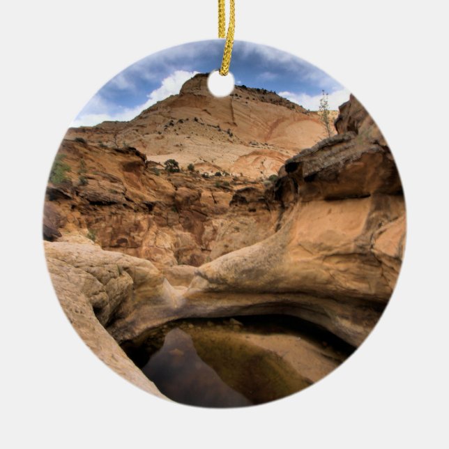 CAPITAL REEFS CERAMIC ORNAMENT (Front)