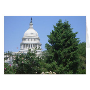 Capitol Building from Bartholdi Park