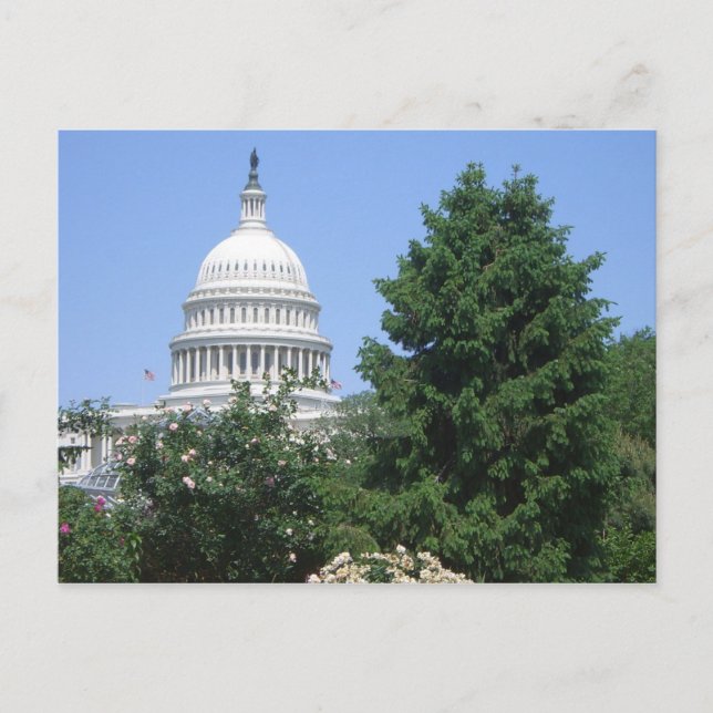 Capitol Building from Bartholdi Park Postcard (Front)