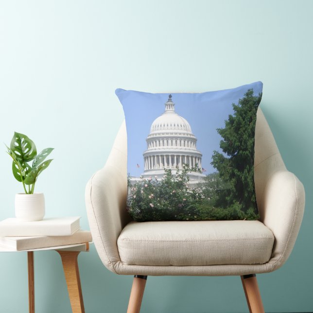 Capitol Building from Bartholdi Park Throw Pillow (Chair)