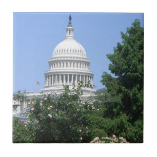 Capitol Building from Bartholdi Park Tile