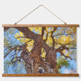 Capitol Reef National Park, Cottonwood Tree Hanging Tapestry