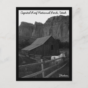 Capitol Reef National Park Postcard