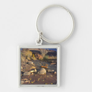 CAPITOL REEF NATIONAL PARK, UT, US, Cottonwood Keychain