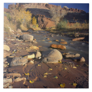 CAPITOL REEF NATIONAL PARK, UT, US, Cottonwood Tile