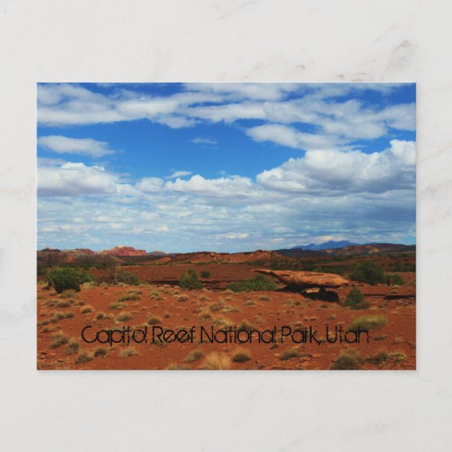Capitol Reef National Park, Utah Postcard (Front)