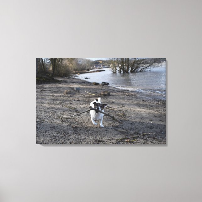 Capo von Oppenheim, Jack Russell Terrier Dog Canvas Print (Front)
