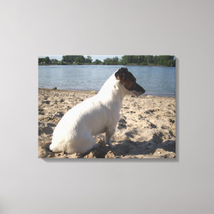 Capo von Oppenheim, Jack Russell Terrier Dog Canvas Print