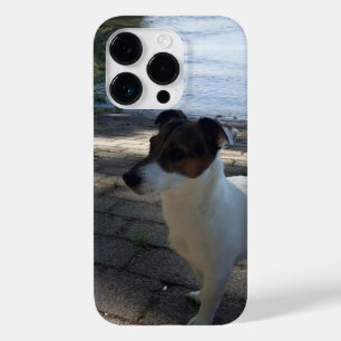 Capo von Oppenheim, Jack Russell Terrier Dog Case-Mate iPhone 14 Pro Case