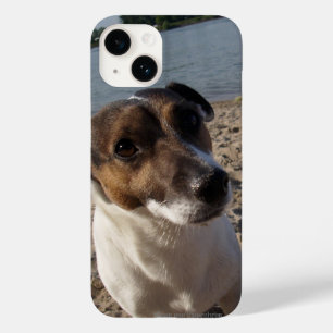 Capo von Oppenheim Jack Russell Terrier, Dog Case-Mate iPhone 14 Case