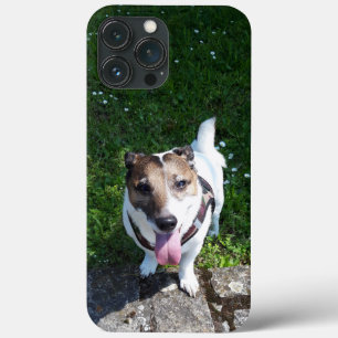 Capo von Oppenheim Jack Russell Terrier, Dog iPhone 13 Pro Max Case