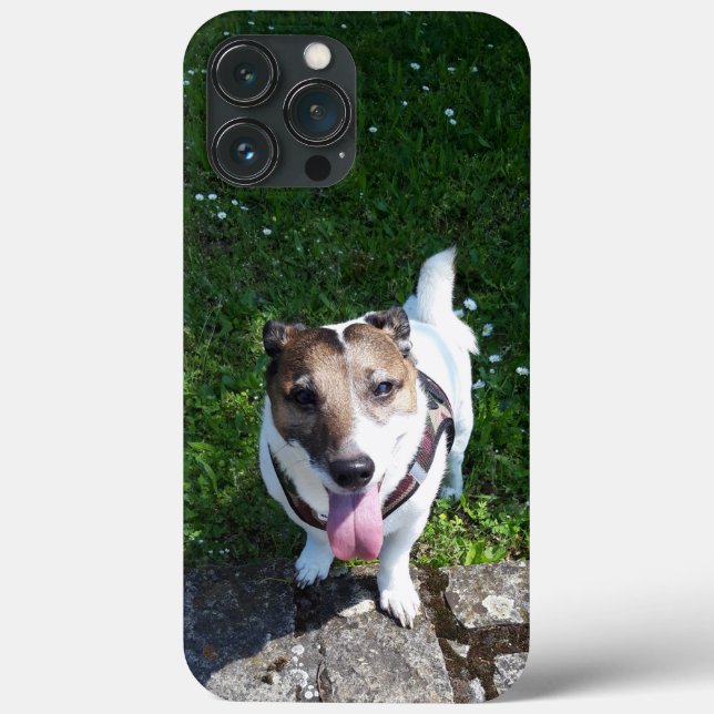 Capo von Oppenheim Jack Russell Terrier, Dog Case-Mate iPhone Case (Back)