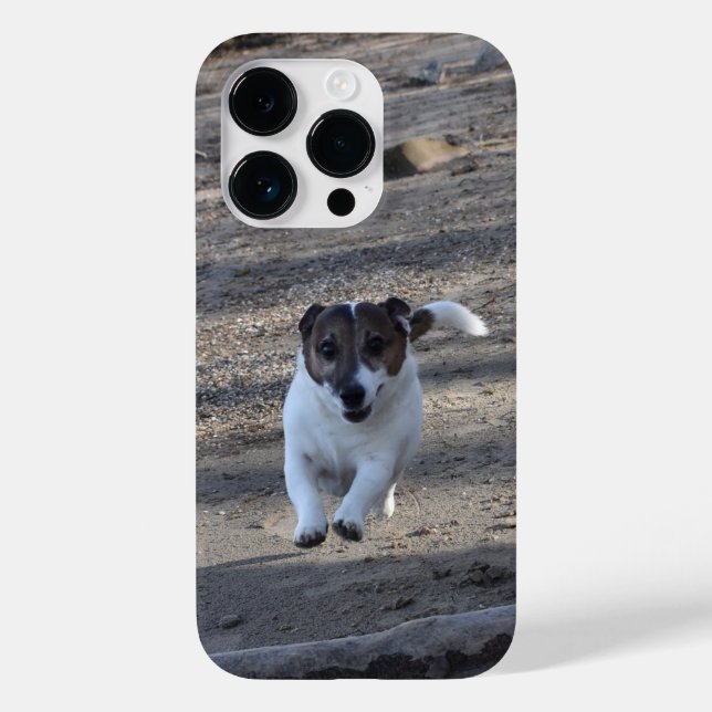 Capo von Oppenheim, Jack Russell Terrier Dog Case-Mate iPhone Case (Back)