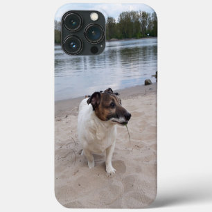 Capo von Oppenheim, Jack Russell Terrier Dog iPhone 13 Pro Max Case