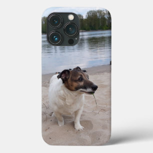Capo von Oppenheim, Jack Russell Terrier Dog iPhone 13 Pro Case