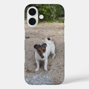 Capo von Oppenheim Jack Russell Terrier, Dog iPhone 16 Case