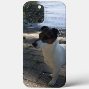 Capo von Oppenheim, Jack Russell Terrier Dog iPhone 13 Pro Max Case