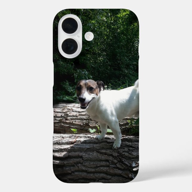 Capo von Oppenheim Jack Russell Terrier, Dog Case-Mate iPhone Case (Back)