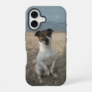 Capo von Oppenheim, Jack Russell Terrier Dog iPhone 16 Case