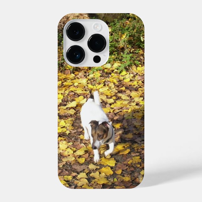 Capo von Oppenheim, Jack Russell Terrier Dog iPhone Case (Back)