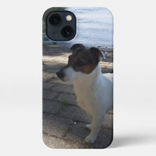 Capo von Oppenheim, Jack Russell Terrier Dog iPhone 13 Case