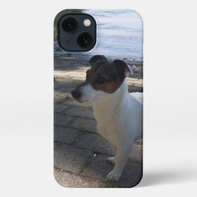 Capo von Oppenheim, Jack Russell Terrier Dog iPhone Case (Back)