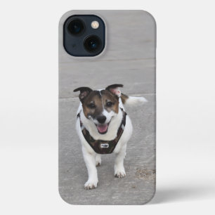 Capo von Oppenheim, Jack Russell Terrier Dog iPhone 13 Case