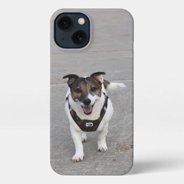 Capo von Oppenheim, Jack Russell Terrier Dog iPhone Case (Back)