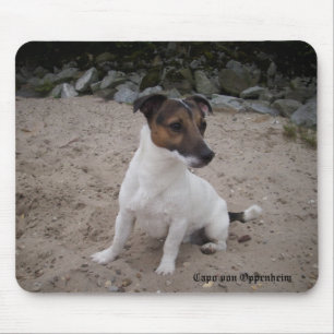 Capo von Oppenheim Jack Russell Terrier, Dog Mouse Pad