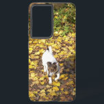 Capo von Oppenheim, Jack Russell Terrier Dog Samsung Galaxy Case<br><div class="desc">Photo little Dog,  My Dog Capo,  Capo von Oppenheim,  Jack Russell Terrier</div>