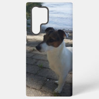 Capo von Oppenheim, Jack Russell Terrier Dog