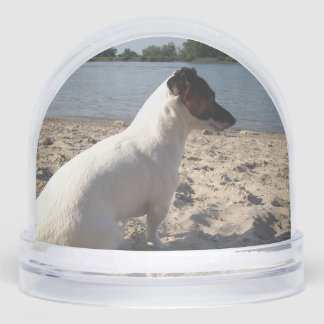 Capo von Oppenheim, Jack Russell Terrier Dog Snowglobe