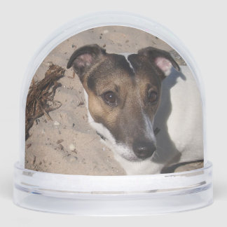Capo von Oppenheim, Jack Russell Terrier Dog Snowglobe