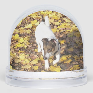 Capo von Oppenheim, Jack Russell Terrier Dog Snowglobe