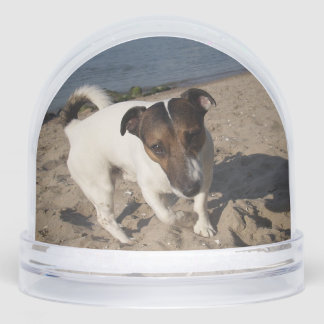 Capo von Oppenheim, Jack Russell Terrier Dog Snowglobe