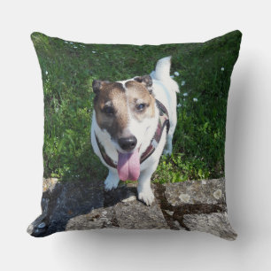 Capo von Oppenheim, Jack Russell Terrier Dog Throw Pillow